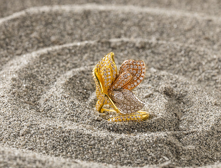 Sea Breeze