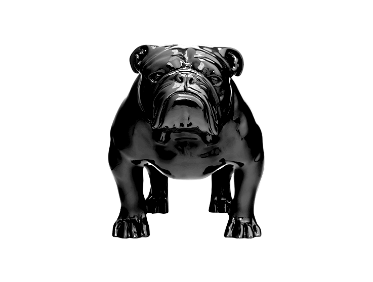 Angus