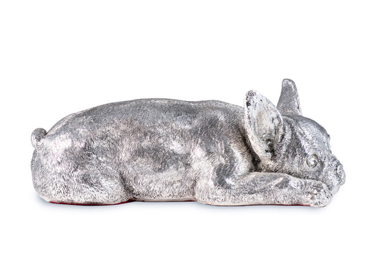 Argentum Canis