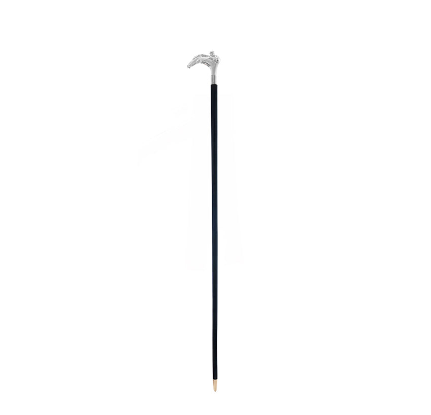 Front Runner Walking Stick