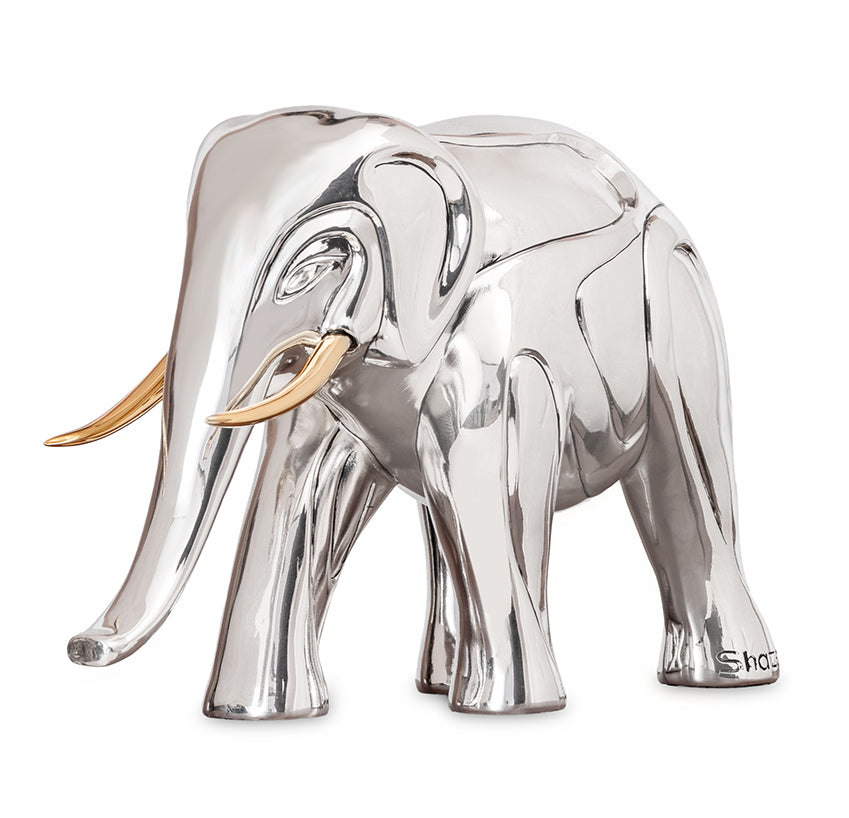 Orbit Elephant – Shazé