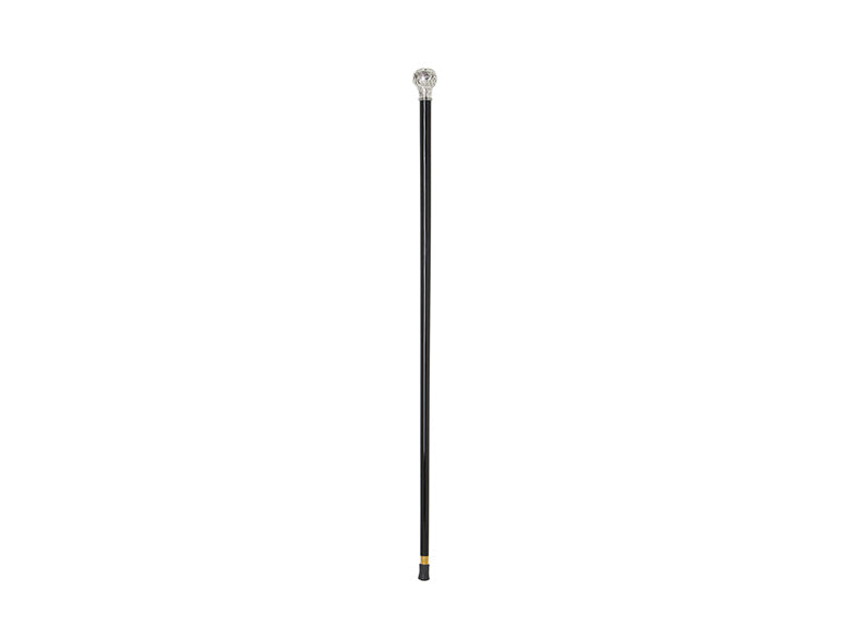 Pillholder Walking Stick