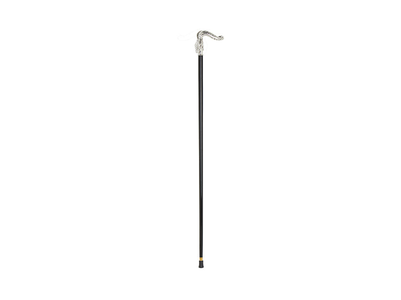 Snake Walking Stick