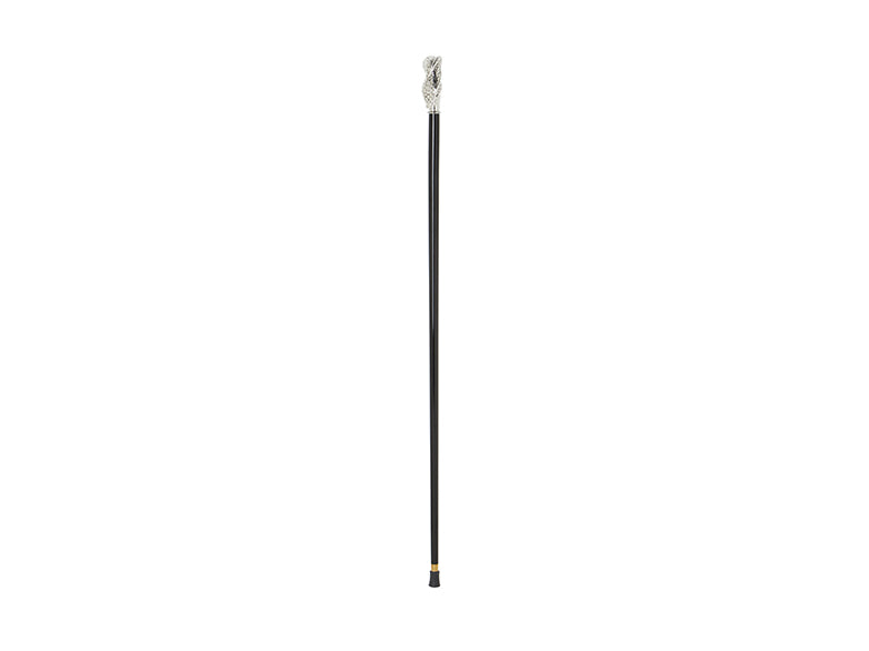 Snake Walking Stick