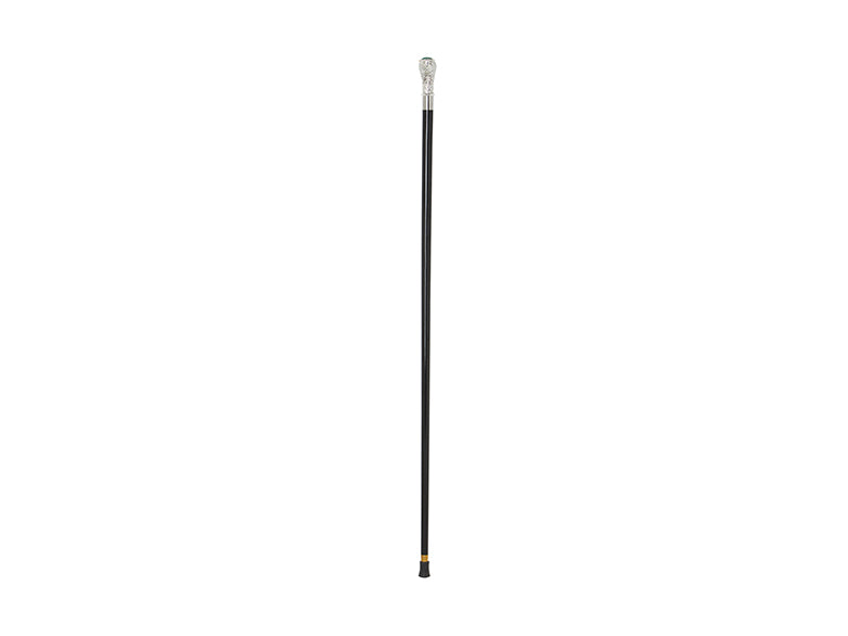 Walking Stick Ansc11