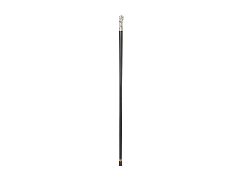 Walking Stick Ansc11