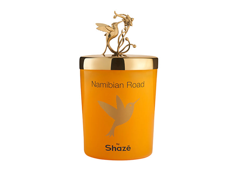 Namibian Road