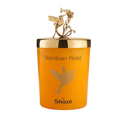 Namibian Road