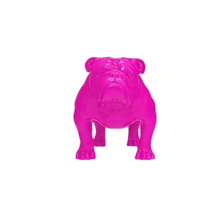 Angus