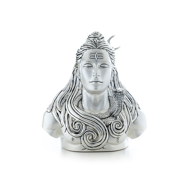 Adiyogi- Divine Silence