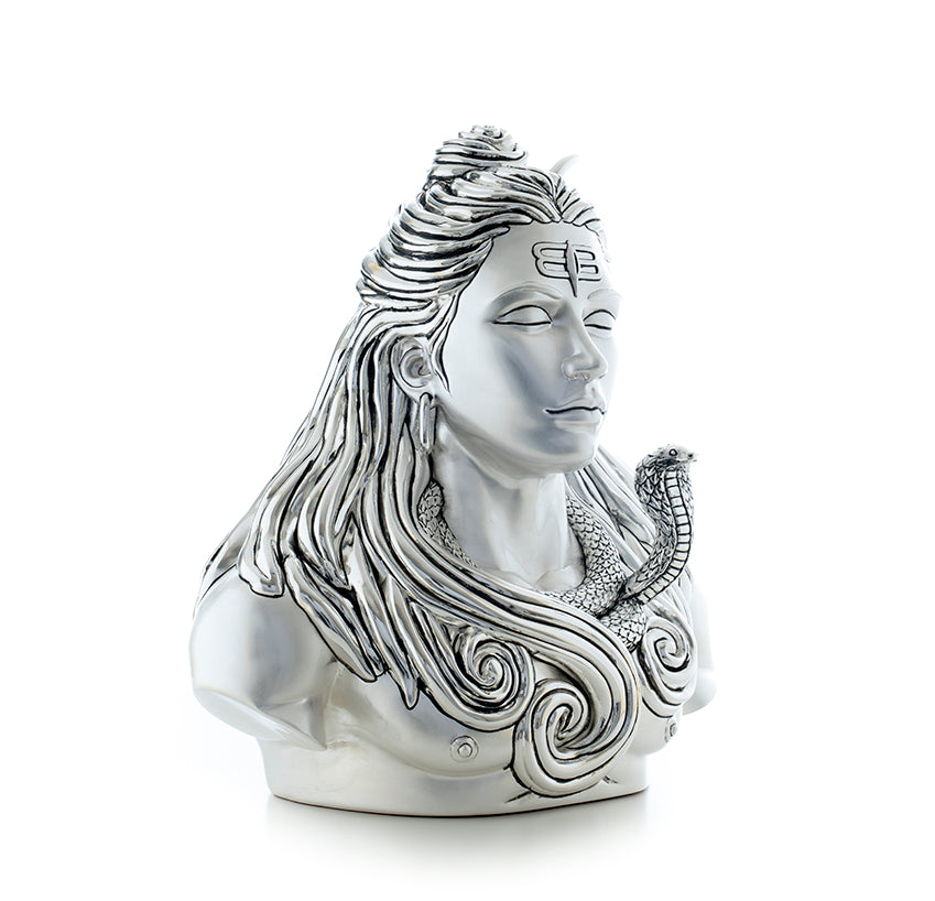 Adiyogi - Divine Silence