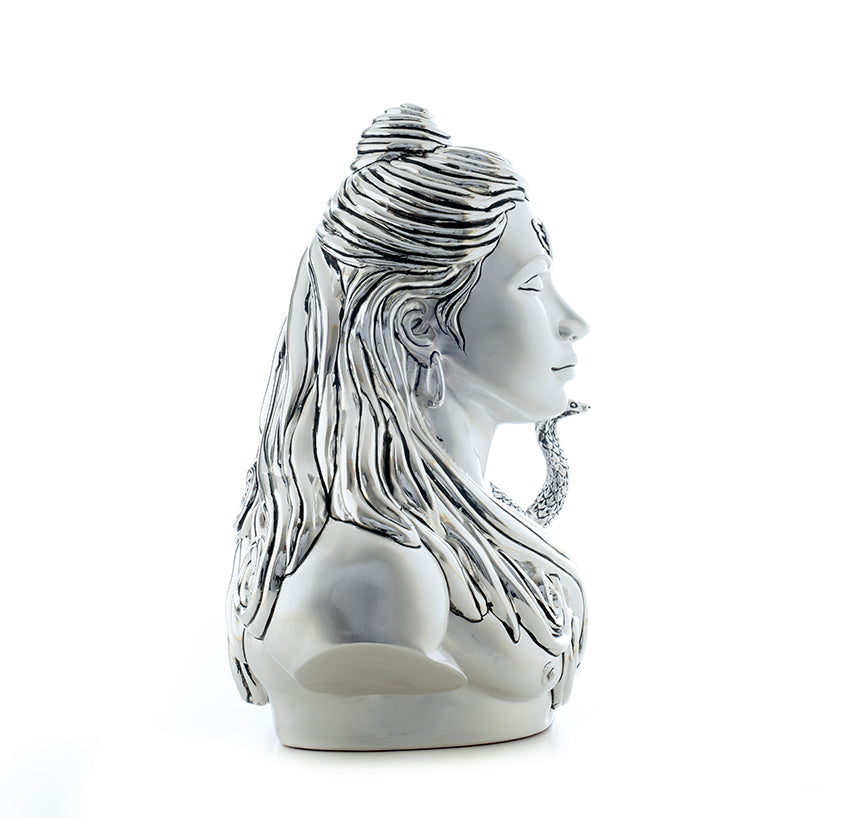 Buy Adiyogi - Divine Silence