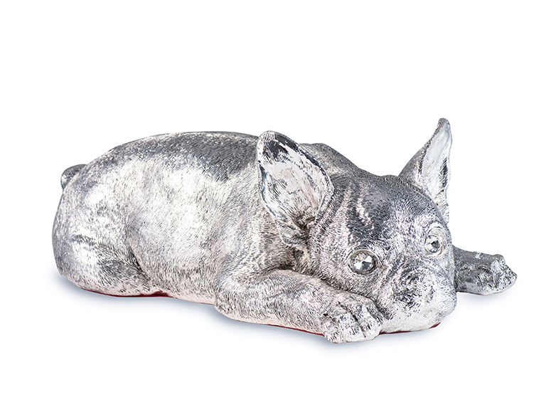 Argentum Canis