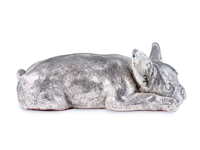 Argentum Canis