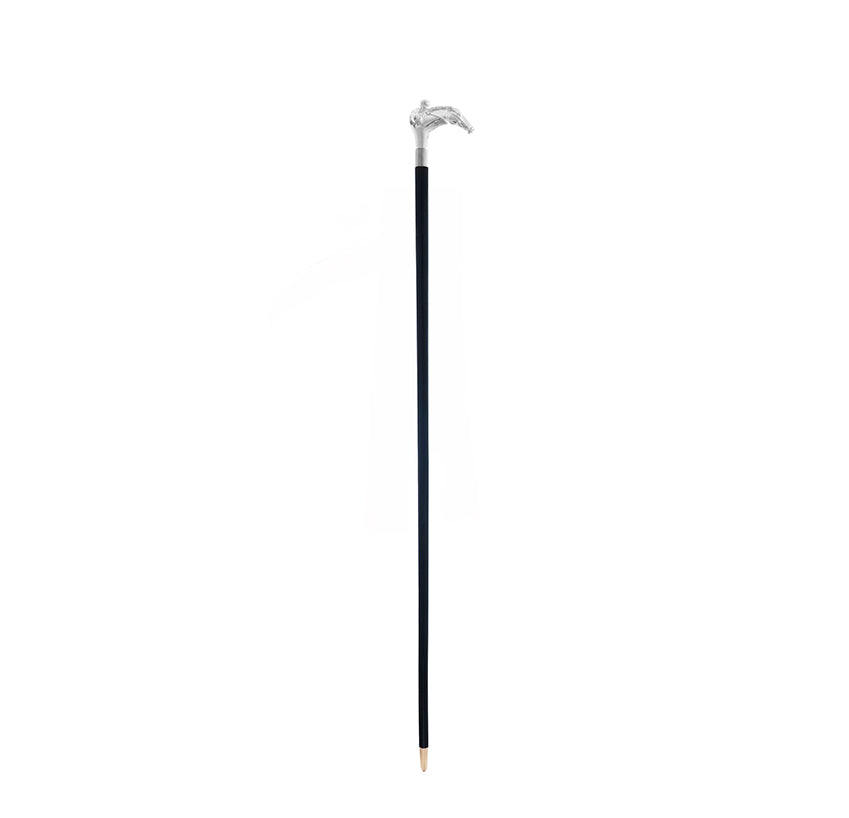 Front Runner Walking Stick