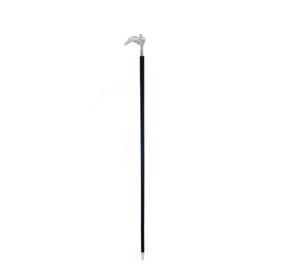 Front Runner Walking Stick