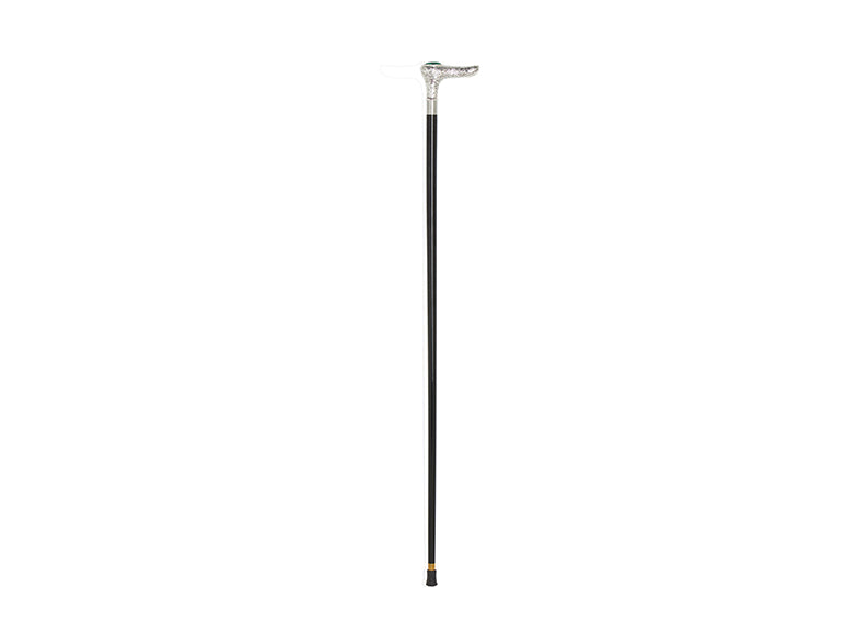 Walking Stick Ansc11