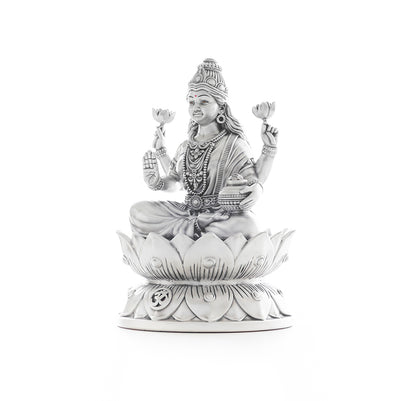 Cosmic Lakshmi